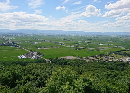 国際協力NGO 世界の医療団