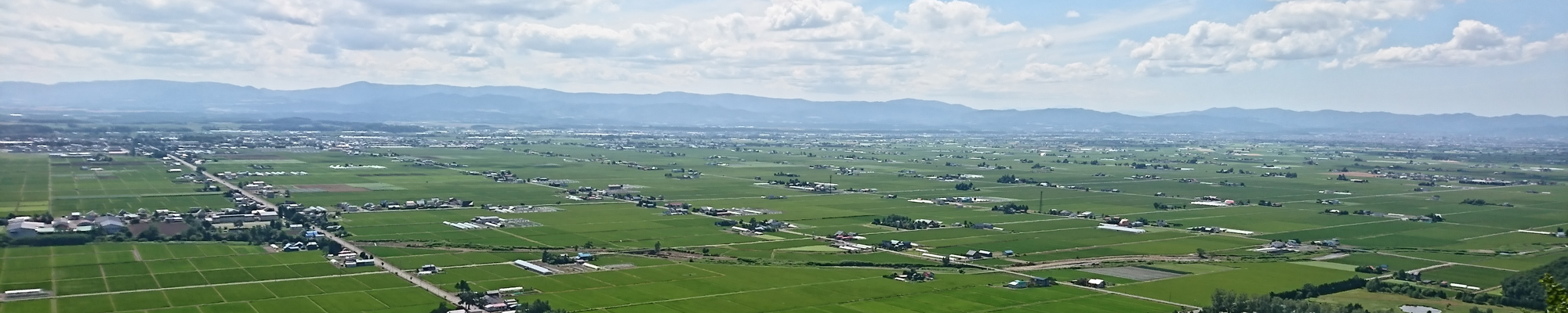 自治体支援（北海道東川町）